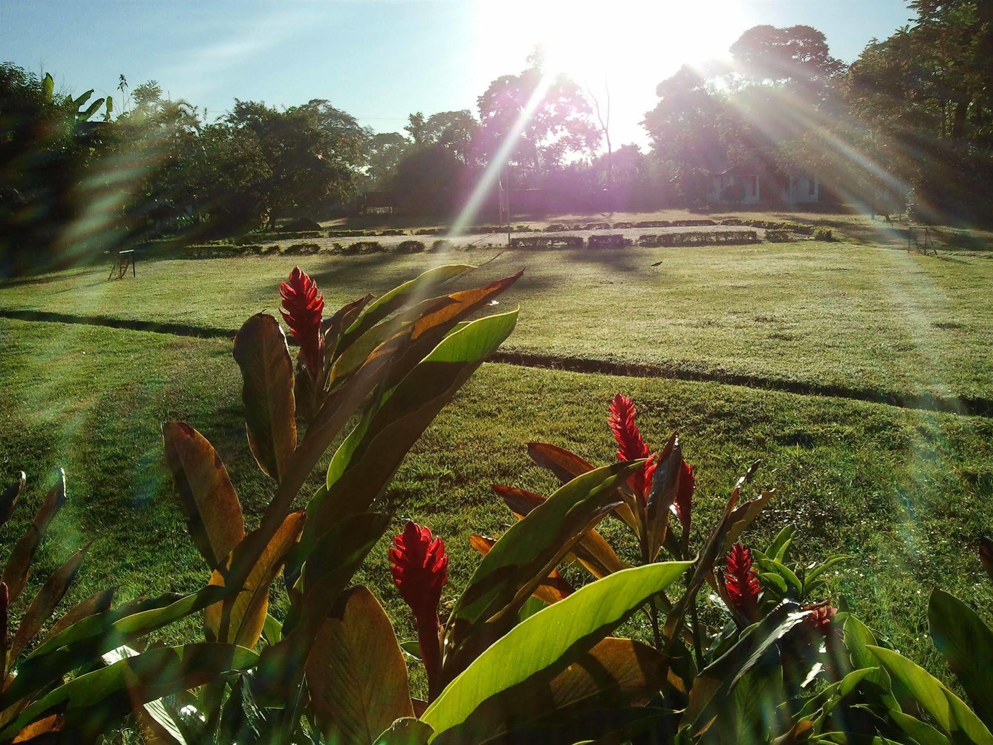 Hotel Campestre Arboretto Villavicencio Eksteriør billede